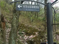 -九皇山景区