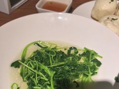 -金枝玉叶上海人家食府(三里河店)