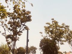 -海豚湾·大堂吧(厦门佰翔波特曼七星湾酒店)