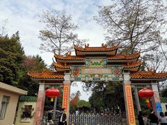 -广州市流溪河国家森林公园
