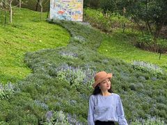 -云溪植物园