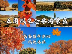 -五角枫生态旅游景区