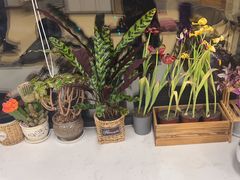 -中田·健身+普拉提(北京通州运河店)