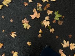 -南京市民俗博物馆(甘熙故居)