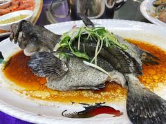 清蒸斑鱼-金百门·顺德海鲜酒家(陈村店)