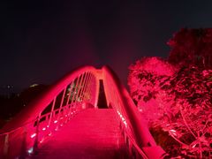 -金鸡山公园