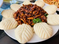 -东方巨龟苑景区