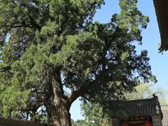 -中岳庙