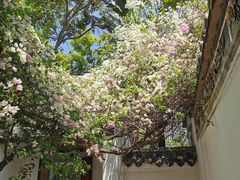 -深圳国际园林花卉博览园