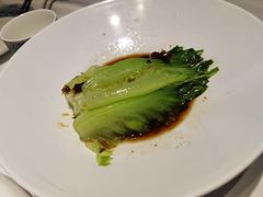 白灼罗马生菜-肆月河豚·新淮扬(金融街店)
