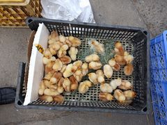 -团泊镇示范集贸市场