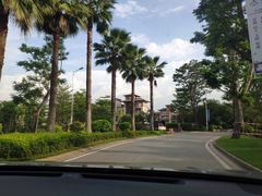 -美的鹭湖森林度假区