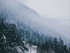 -峨眉山风景名胜区