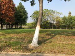 -尚贤河湿地