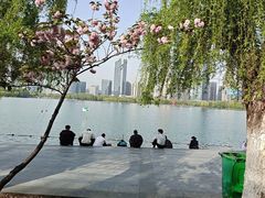 -天鹅湖体育公园