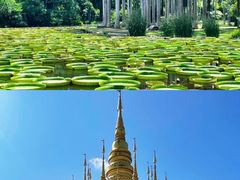 -西双版纳傣族园