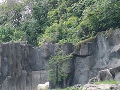 -杭州野生动物世界