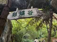 -天目湖山水园