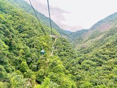 -大鄣山卧龙谷景区