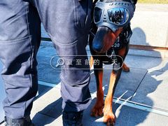 -二沙岛艺术公园