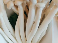 -周师兄大刀腰片火锅(磁器口直营店)