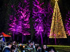 -福建鲤鱼洲酒店