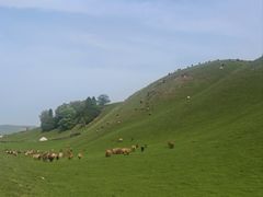 -新疆那拉提国家旅游度假区