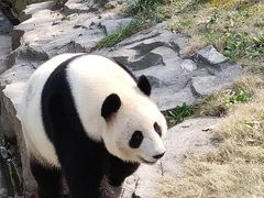 -上海野生动物园