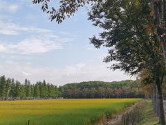 -广富林郊野公园