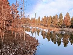 -宁波杭州湾国家湿地公园