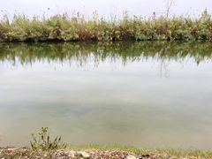 -池杉湖湿地公园