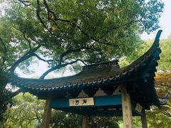 -西湖游船