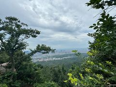 -紫金山山顶公园