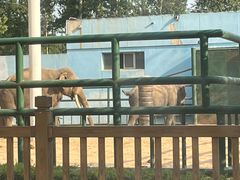 -秦皇岛野生动物园