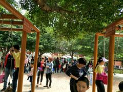 游乐设施-盈香心动乐园