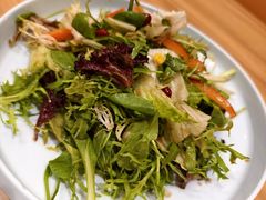 西域飬生大拌菜-西部马华清真兰州牛肉面·烧烤夜市(关东店)