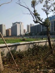 点击看大图 -侨治发型