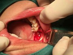 -泰康拜博口腔(世博园乐尔店)