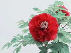 -六和塔文化公园