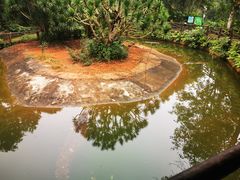 -海南热带野生动植物园