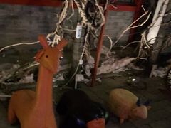 -有喜胶东小馆(超极合生汇太申祥和店)