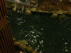 -青城道汤池