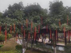 -三江森林温泉度假区