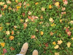 -长春世界雕塑园冰雪艺术天地