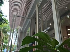 -LilBee Coffee