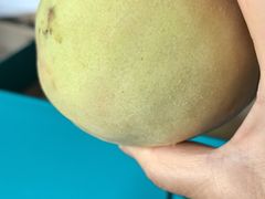 -老袁家蜜桃农场·阳山水蜜桃