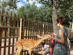 -水上乐园·欢乐世界