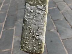 -乌石村
