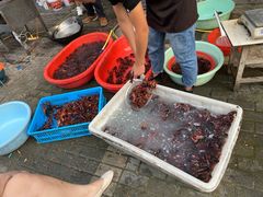 -盱眙虾怪·旗舰店