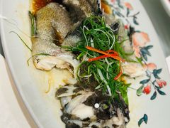 -稻香酒家·34年老字号·港式粤菜(侨光店)